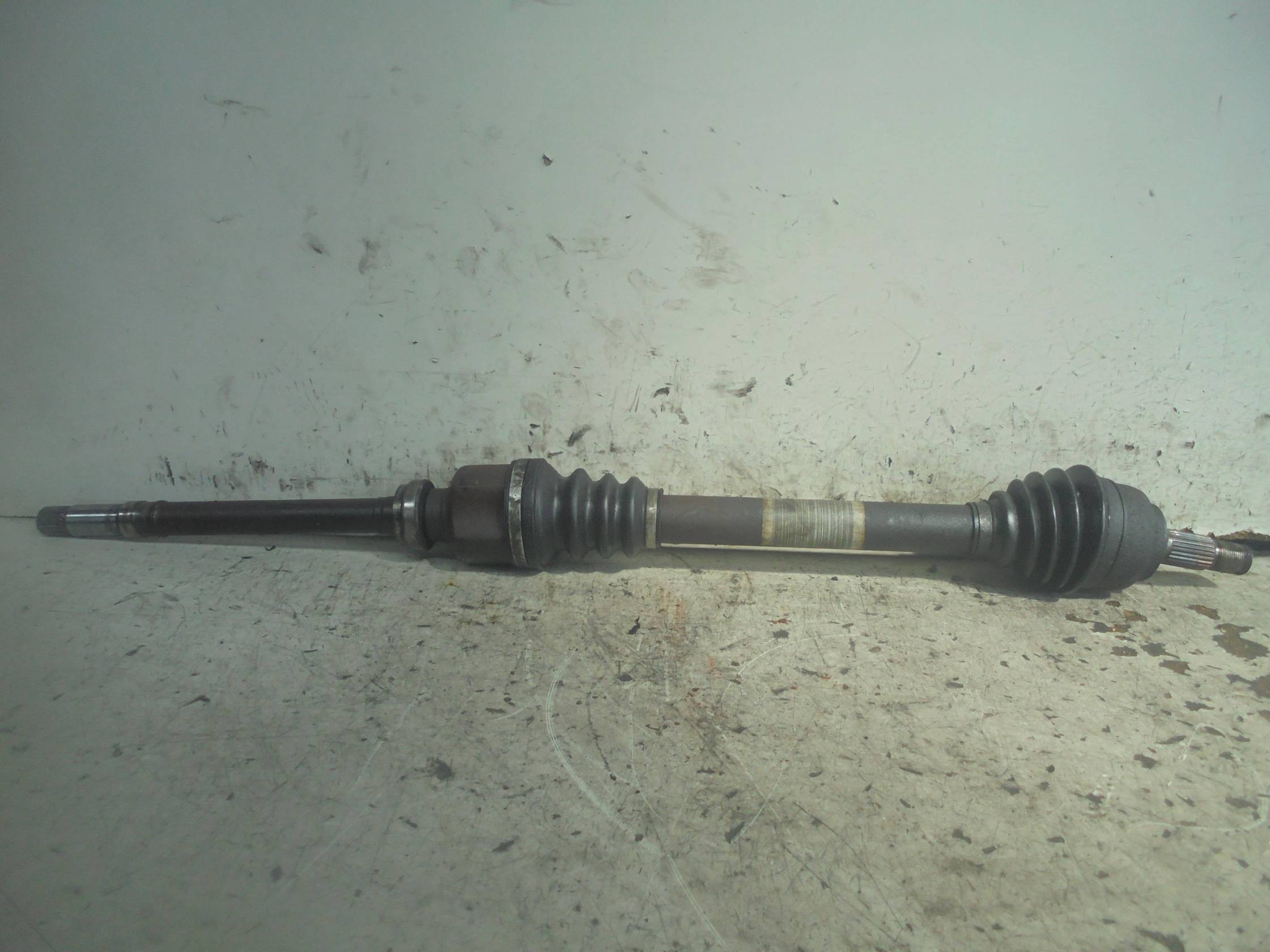 Semialbero ant. compl. dx.